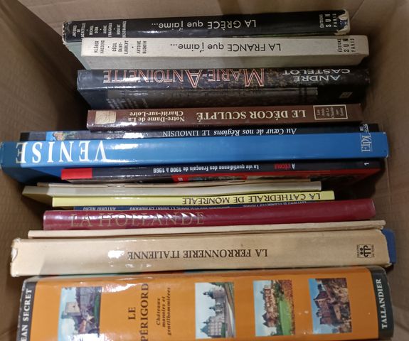 Lot de livres illustrés (art, voyages)