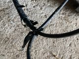 a close up of a black wire on the ground