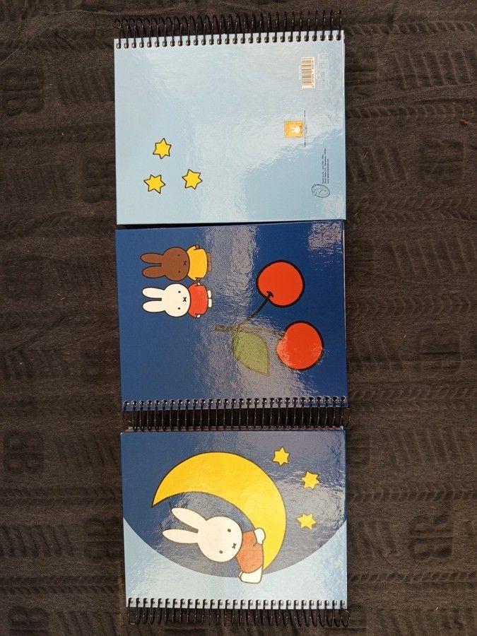 Destockage & Invendus