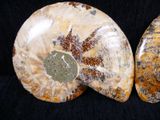 pair of two polished rocks on a black background