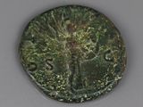 a close up of a coin with a tree on it