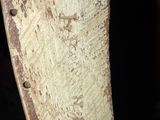 close up of an old, worn, wooden knife with rust on it ' s blade