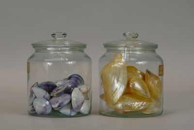 two glass jars with shells in them on a table
