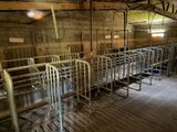 many metal beds in a room with wood flooring