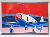 a picture of a picture of a plane on display