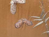 a picture of a painting of a butterfly and a moth