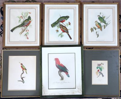 six oiseaux encadrés, de couleurs et de tailles différentes, sont posés sur une table