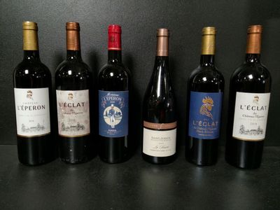 Lot de 6 bouteilles de vin rouge dont : L'éclat du Château l… - Photo 1
