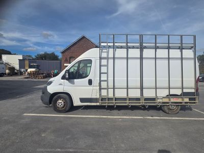 a white truck that is parked in a parking lot