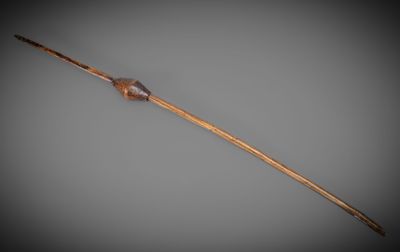 un long bâton en bois avec une longue queue sur fond gris