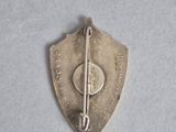 a picture of a silver brooch with a pin on it