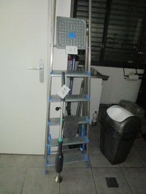 une échelle située à côté des toilettes dans une pièce