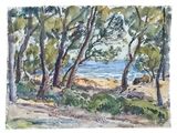 watercolor painting of a view of a beach through the trees