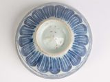 a blue and white plate with a flower design on it