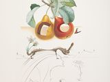 an image of a drawing of a pear on a branch with leaves