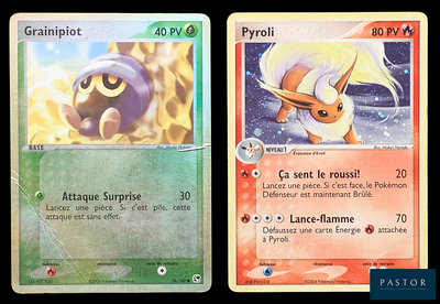 deux cartes Pokémon présentant des motifs différents sur un fond noir