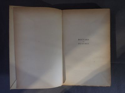 BOUVARD ET PECUCHET, par Gustave FLAUBERT, édition illustrée…