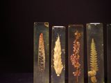 five different types of plants in glass containers on a table