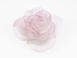 a pink rose that is sitting on a white surface