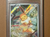 La carte Pokémon se trouve dans un étui en plastique transparent