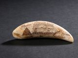 une dent de baleine sur laquelle est dessiné un bateau