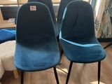 trois chaises bleues aux pieds noirs et un chien blanc par terre