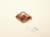 a picture of a gold brooch with a chain around it