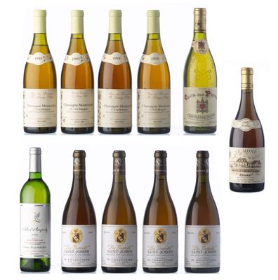plusieurs bouteilles de vin sont alignées sur une surface blanche