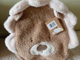 a brown teddy bear with a tag on it ' s head