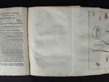 an open book with a drawing of a snake on it