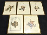 quatre photos d'oiseaux encadrées sur un fond noir