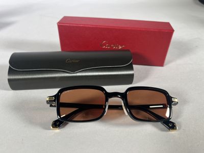 christian dior sunglasses in black and gold with case