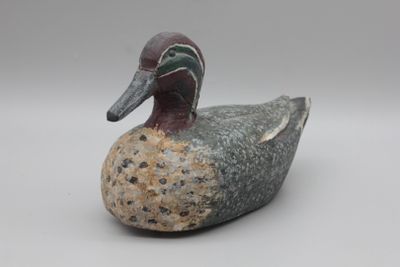 un petit canard perché sur un rocher