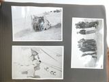 une personne tenant un livre illustré d'animaux