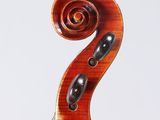 a close up of a violin on a white background