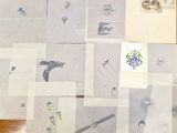 a lot of cards that are sitting on a table