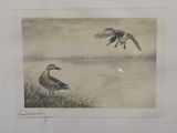 two ducks flying over a body of water