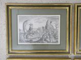 three framed pictures of birds on a wall in a gold frame