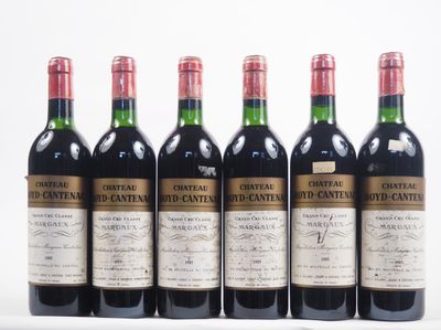 six bouteilles de vin sont alignées sur une surface blanche