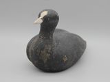 un canard noir et blanc posé sur une table