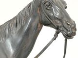 a statue of a horse with a bridle on it ' s head