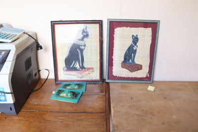 deux photos d'un chat posé sur un bureau, à côté d'une imprimante