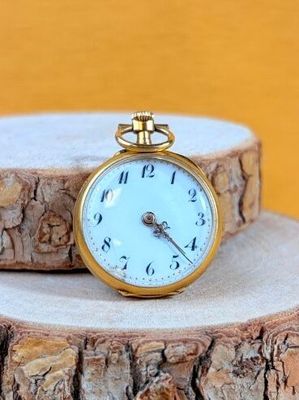 a gold pocket watch sitting on top of a tree stump