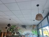 a room with a lot of plants on the walls