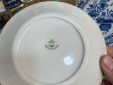 a person holding a white plate with a blue and white design