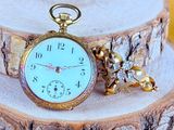 une montre de poche posée sur un morceau de bois