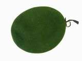 a green round bag with a black handle on a white background