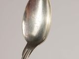 a spoon that is sitting on top of a table