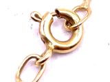 a close up of a gold chain with a clasp