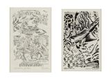deux dessins en noir et blanc représentant des oiseaux et des plantes, sur papier